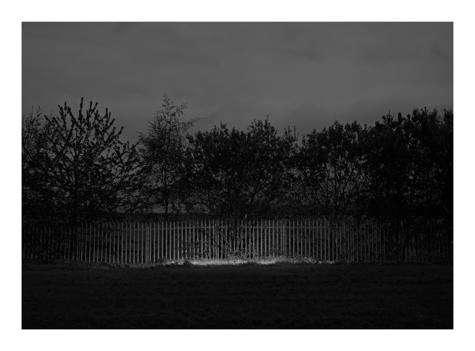  Sligo Racetrack, County Sligo 